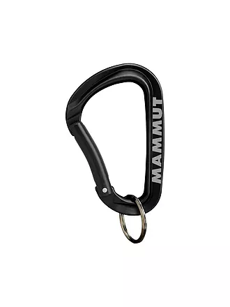 MAMMUT | Mammut Mini Carabiner Workhorse Keylock L | 